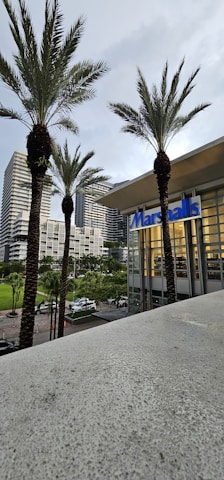 Tall palm trees stand in front of a modern commercial building with the name 'Marshalls' on it. In the background, there are several high-rise buildings with a few cars and greenery surrounding the area.