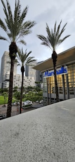 Tall palm trees stand in front of a modern commercial building with the name 'Marshalls' on it. In the background, there are several high-rise buildings with a few cars and greenery surrounding the area.