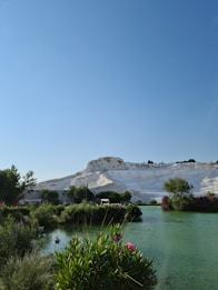 A tranquil landscape featuring a clear blue sky, a lush green foreground with flowering bushes, and a serene lake. In the background, white travertine terraces rise prominently against the sky, possibly indicating a natural geological formation.