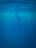 Diver calmly floating underwater with rays of sunlight filtering through the water surface.