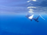 A diver explores the underwater world, surrounded by vast, clear blue water. Equipped with fins and scuba gear, they swim just below the surface, creating ripples and reflections above.