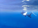 Diver inspecting underwater pipeline with clear blue water around.