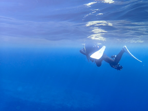 A diver explores the underwater world, surrounded by vast, clear blue water. Equipped with fins and scuba gear, they swim just below the surface, creating ripples and reflections above.
