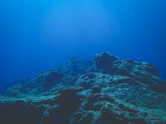 An underwater scene featuring a rugged terrain of coral-covered rocks extending into the distance. The seafloor appears uneven with various formations and a few small fish swimming around. The water is a deep blue, giving a sense of depth and tranquility.