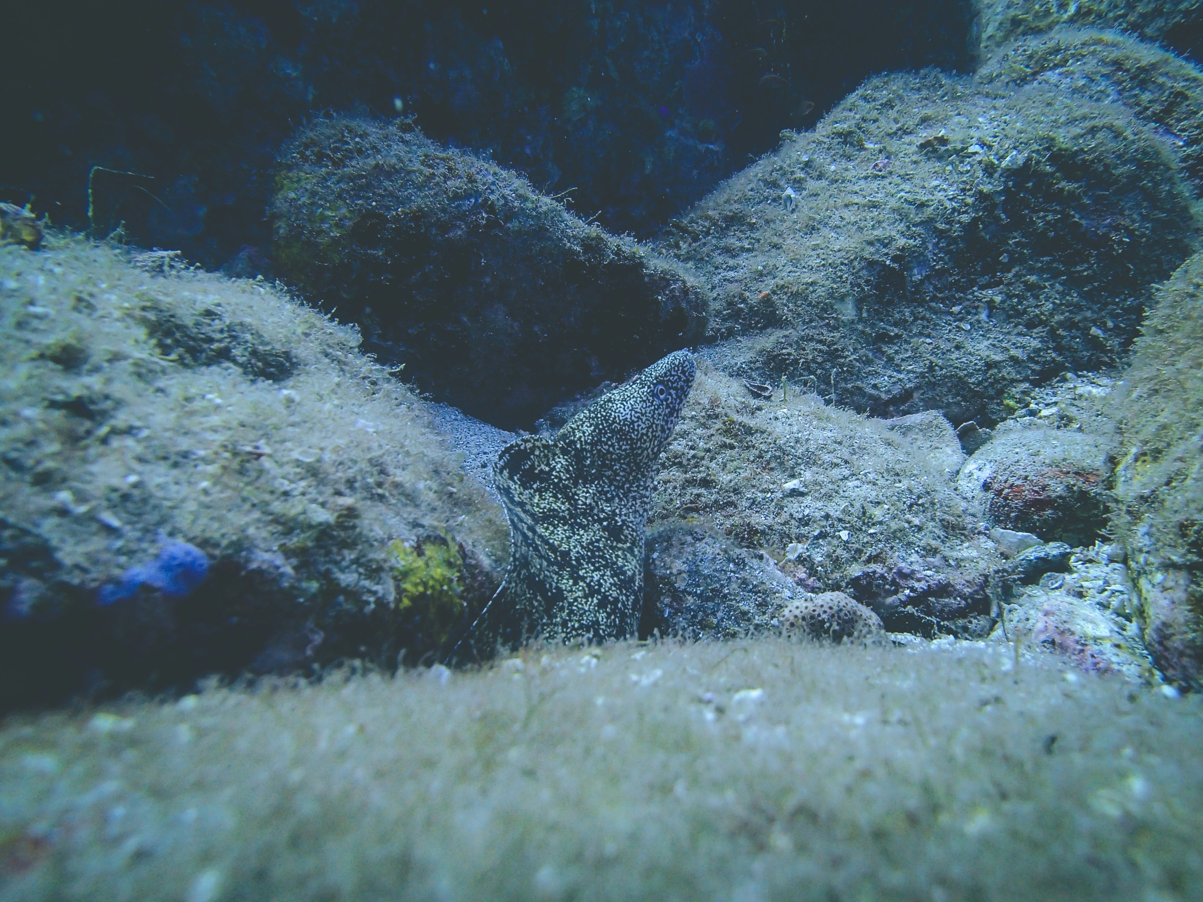a close up of some rocks and grass