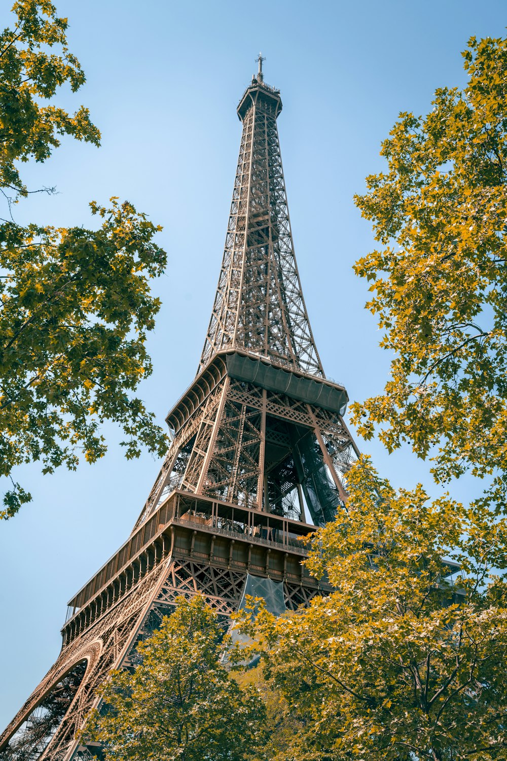 the eiffel tower is surrounded by trees