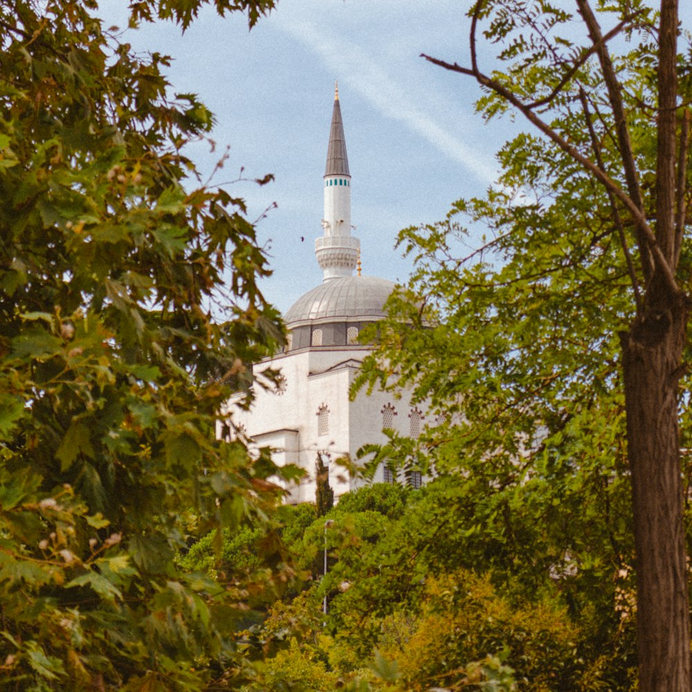 a white building with a steeple surrounded by trees