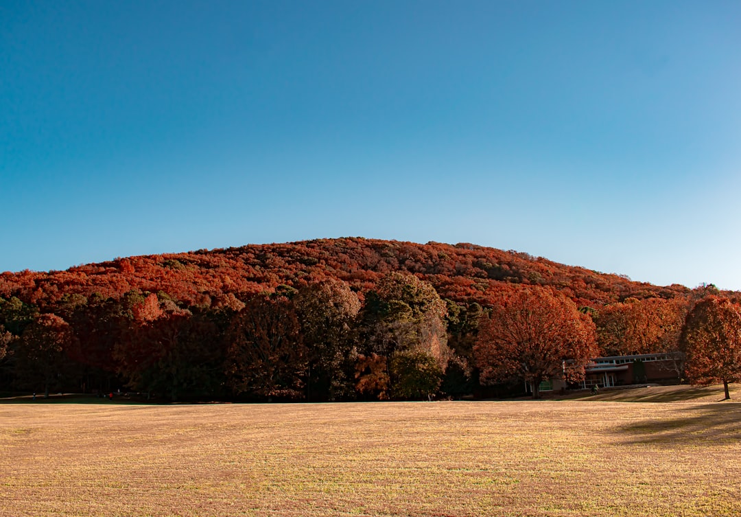 a large field with a hill in the background,