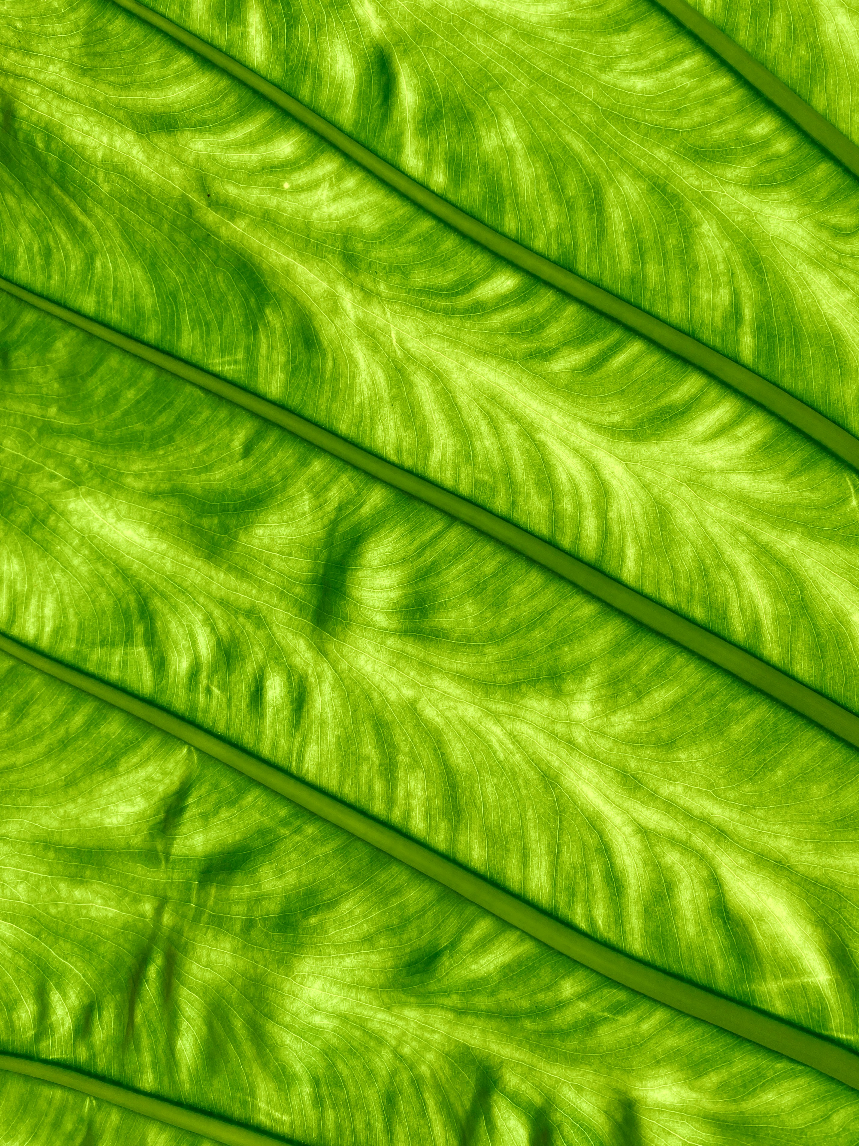 Photo by btcarpenter