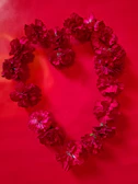 Close-up of a blooming red heart-shaped flower symbolizing love for Valentine's Day.