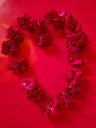 Close-up of a blooming red heart-shaped flower symbolizing love for Valentine's Day.