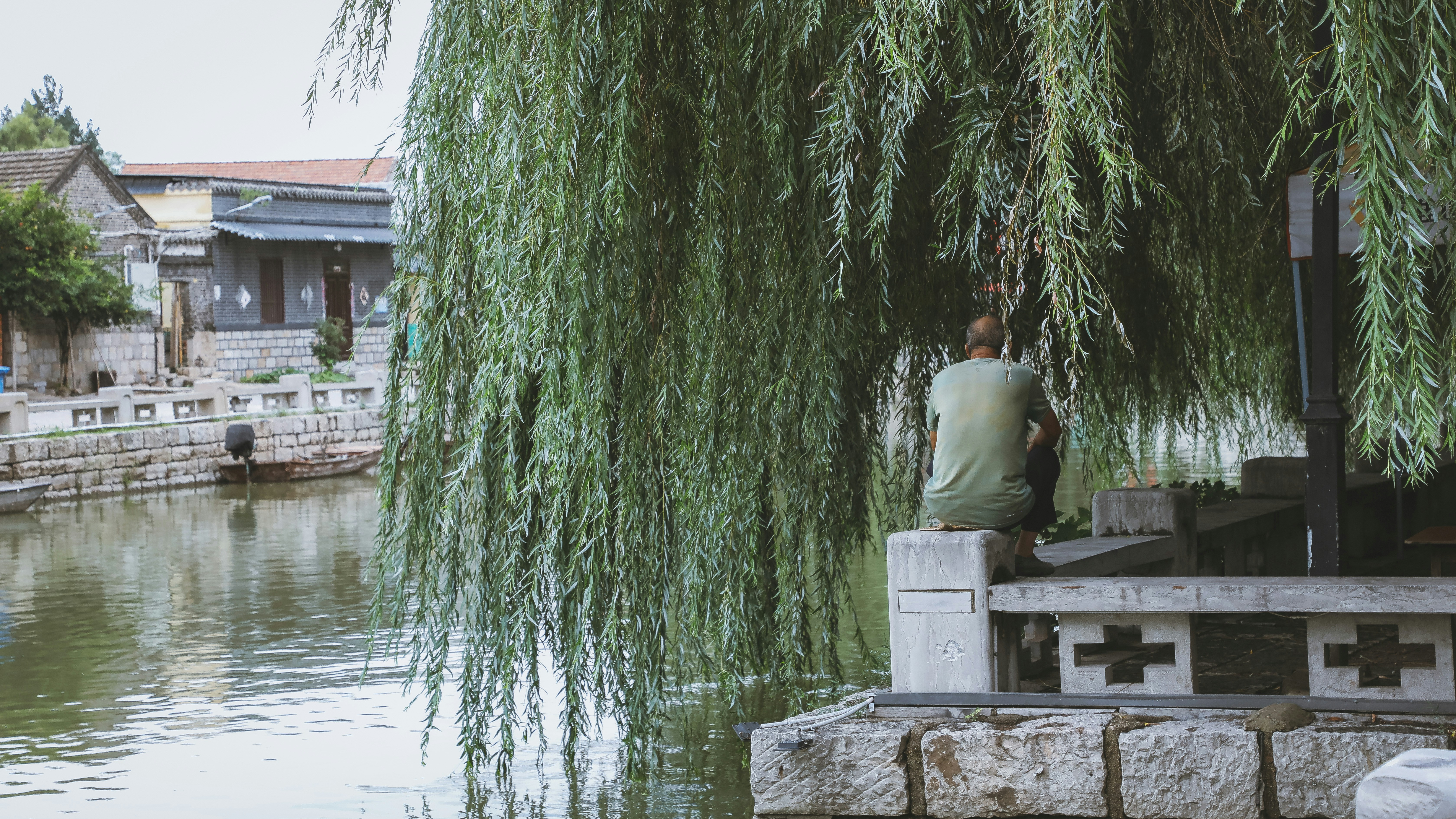 A man sitting on a bench under a tree photo – Free Rain Image on Unsplash
