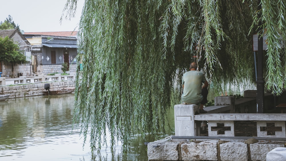 a man sitting on a bench under a tree