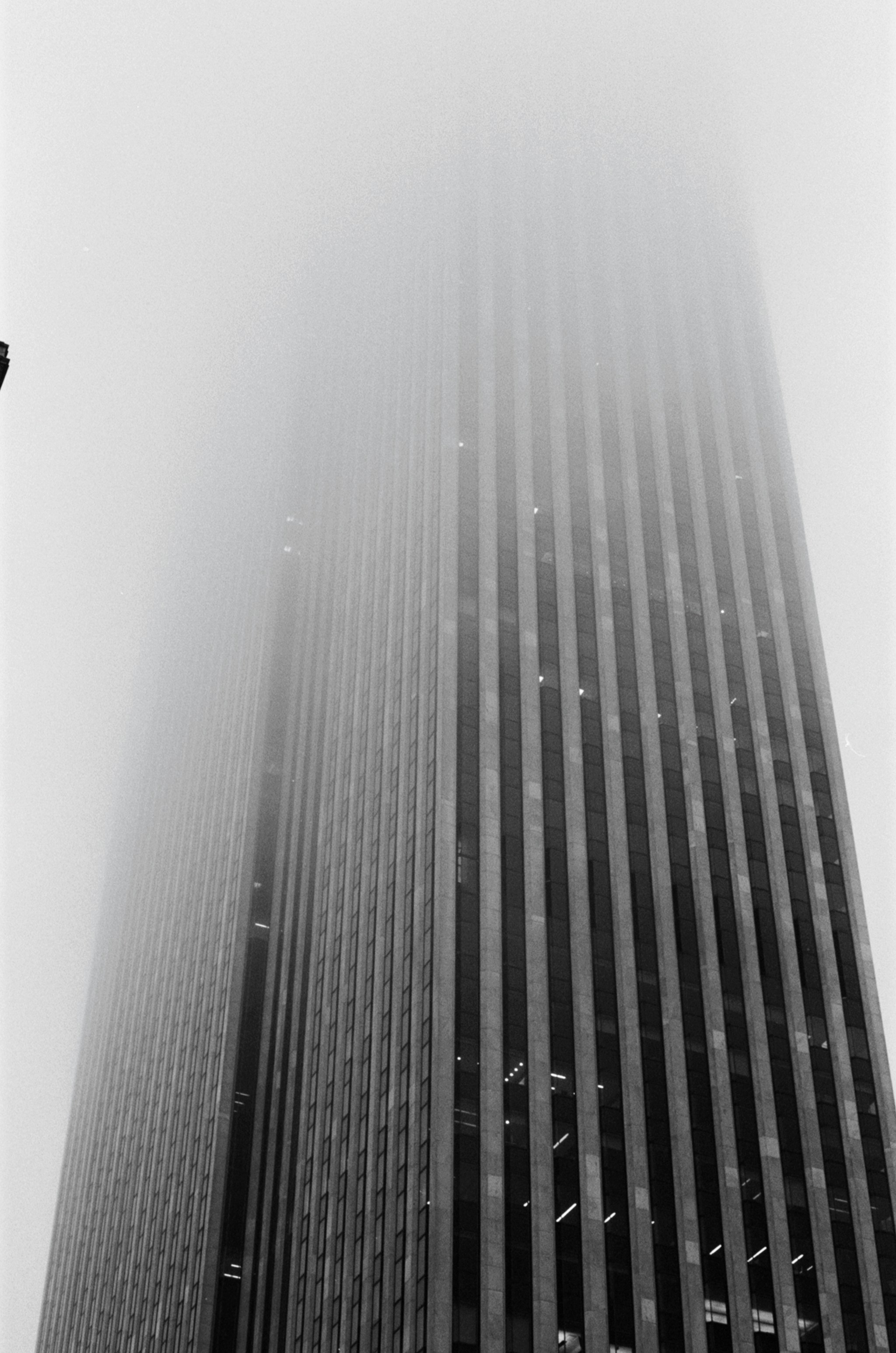 Photo by tangledgreen