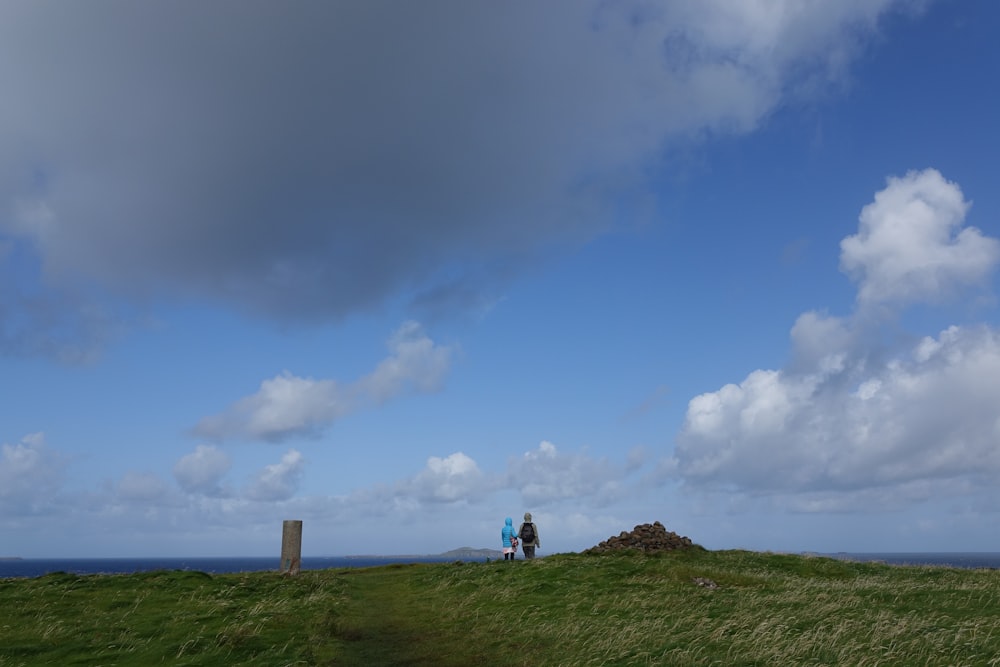 a couple of people standing on top of a lush green hillside