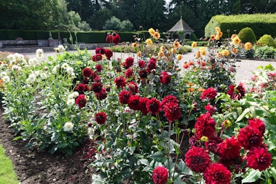 A scenic view of a garden displaying colorful flowers and pathways intertwined.