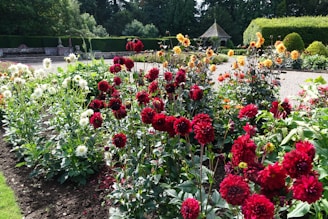 A scenic garden with vibrant red, white, and yellow flowers in full bloom. The garden is surrounded by lush greenery and manicured hedges. In the background, there is a small gazebo and a gravel path winding through the garden.