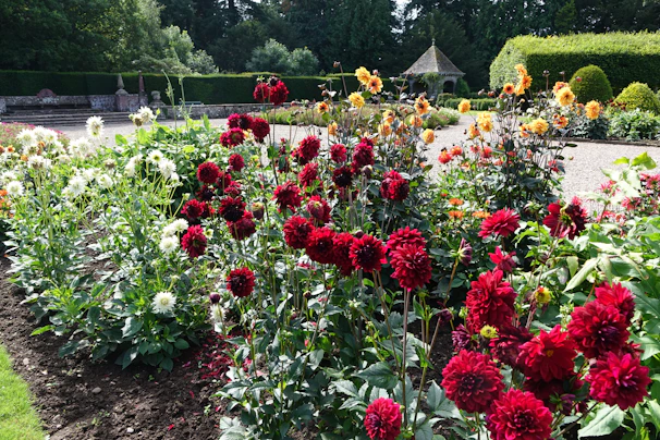 A scenic view of the Botanical Garden with blooming flowers and walking paths.