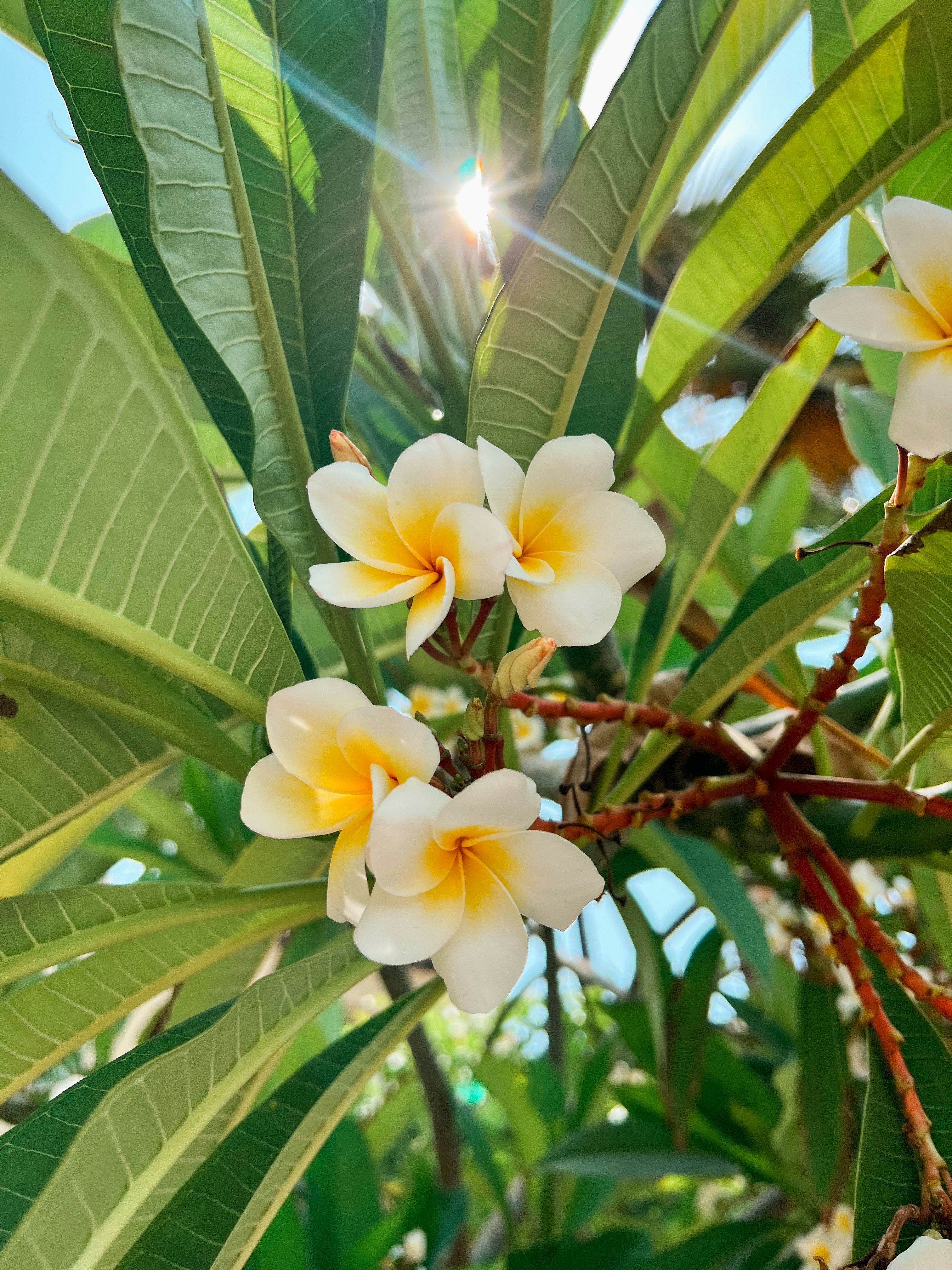 Photo by _bilinskaya_