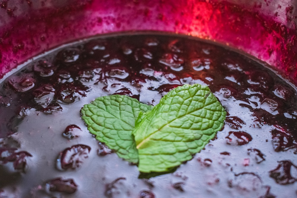 a green leaf floating in a pot of boiling water