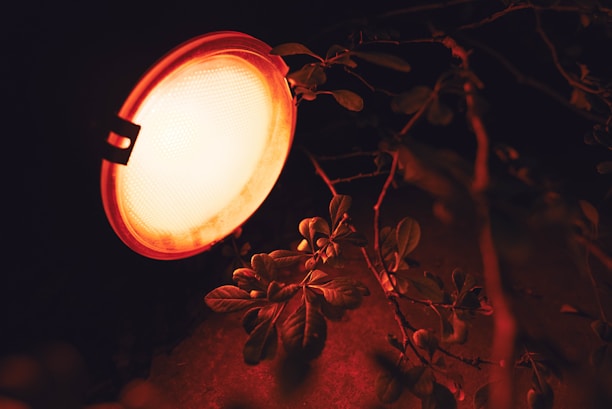 Close-up of a bronze package lighting fixture casting a gentle, inviting glow on shrubbery.