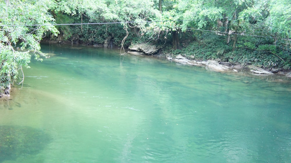 a body of water surrounded by trees and rocks