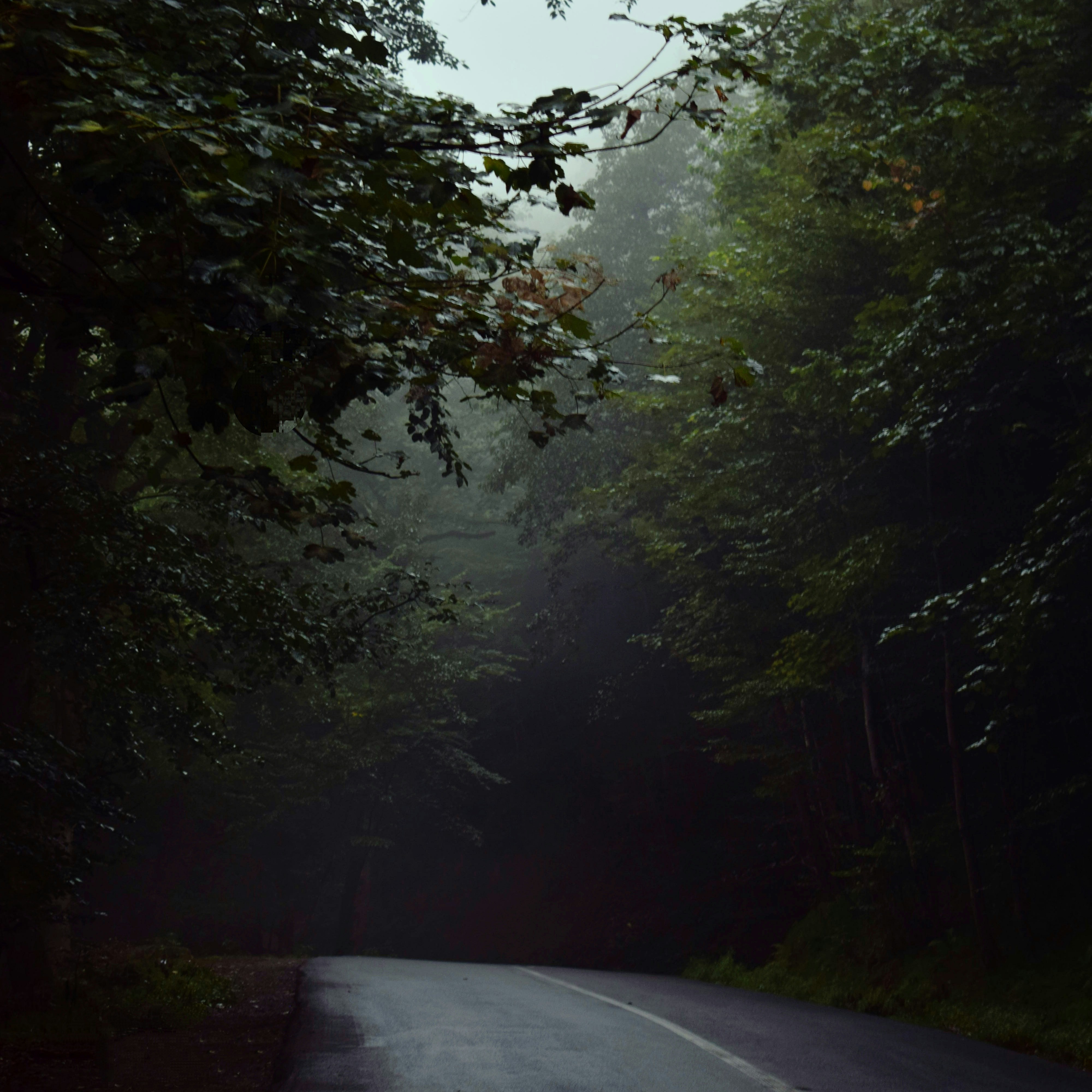 Photo by shirinsaleki