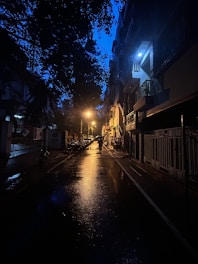 A contemplative street scene in Singapore at dusk, with soft shadows and reflections on wet pavement.