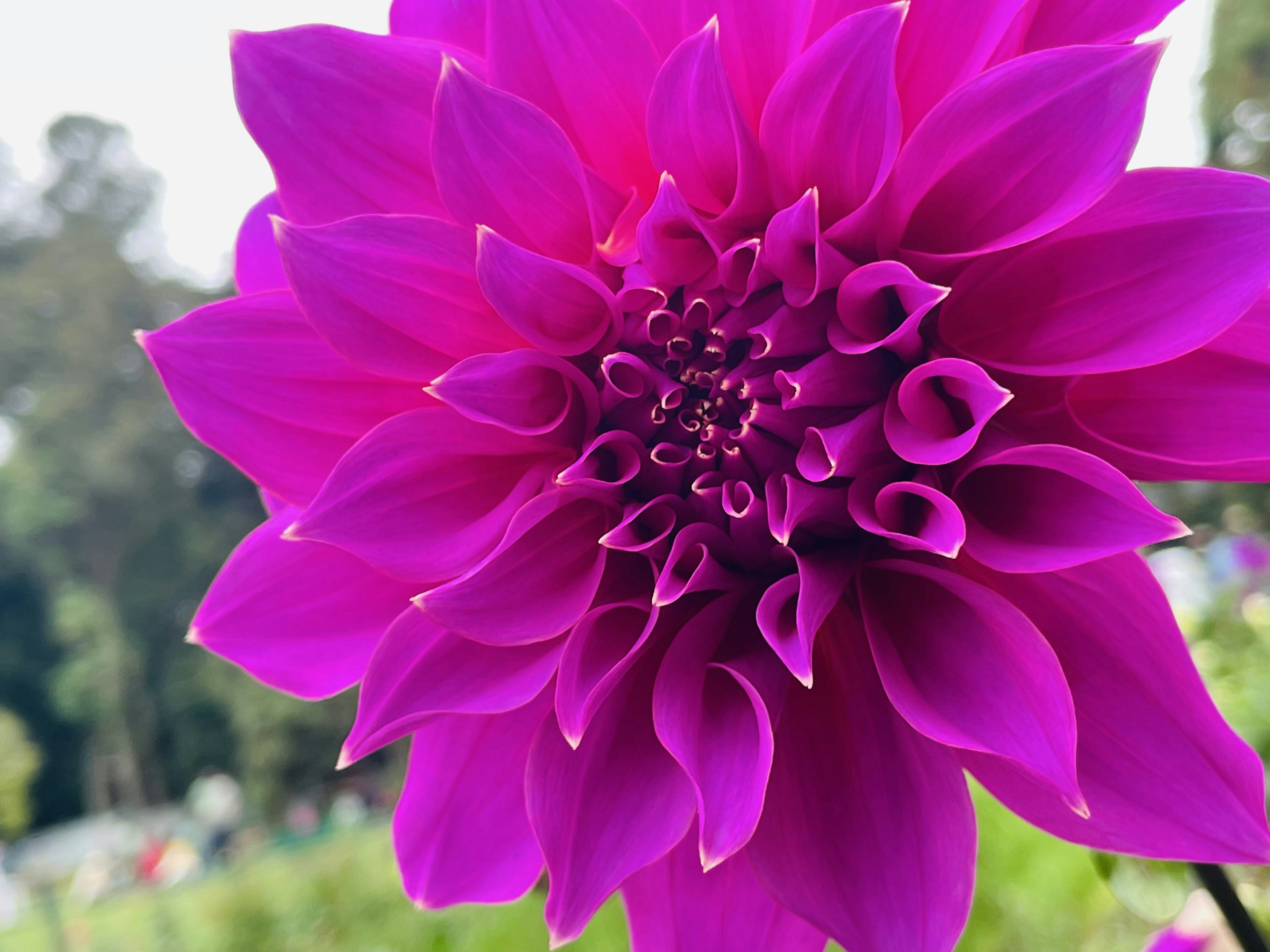 Photo by fazalkurikkal