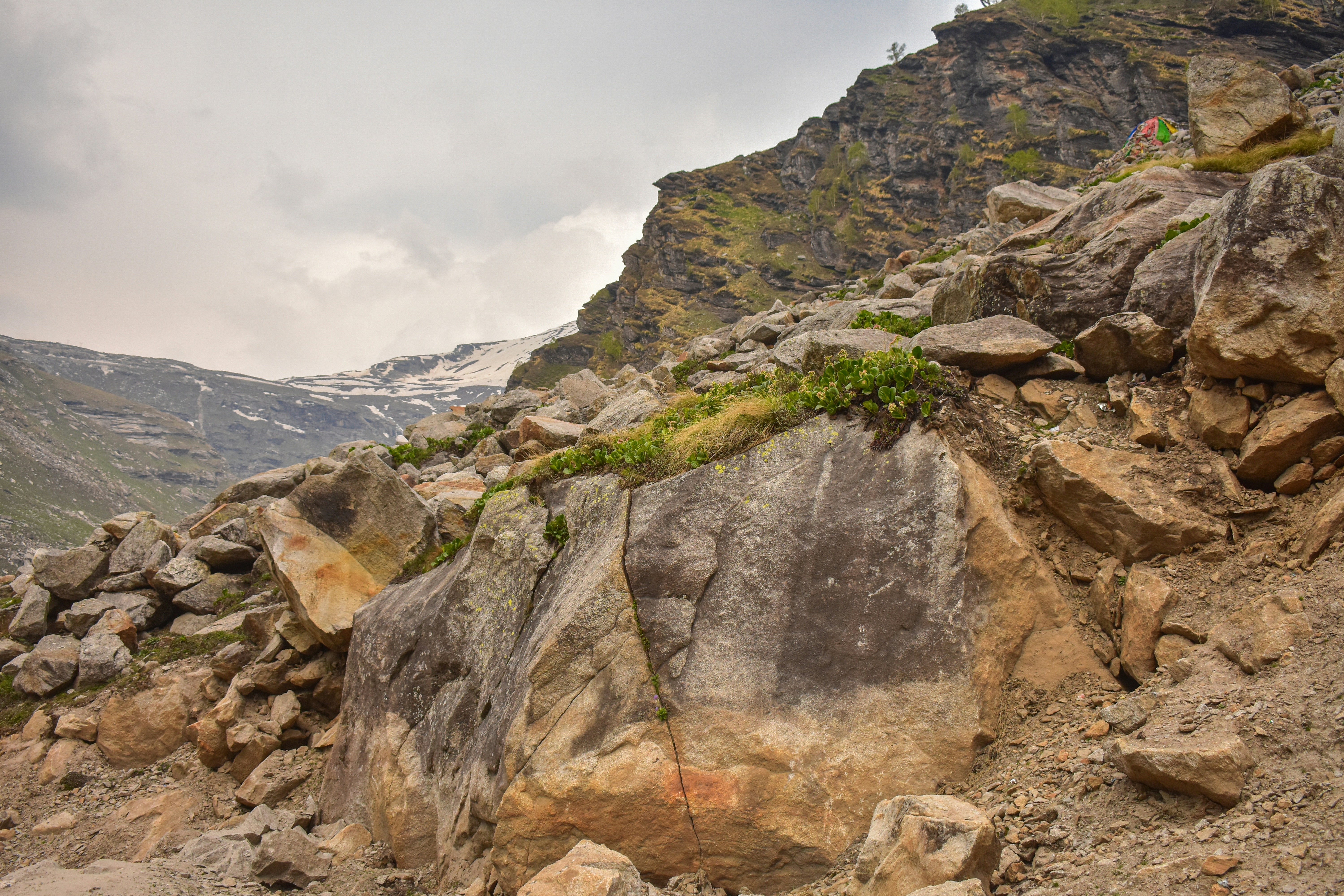 Photo by neelakshi_singh_