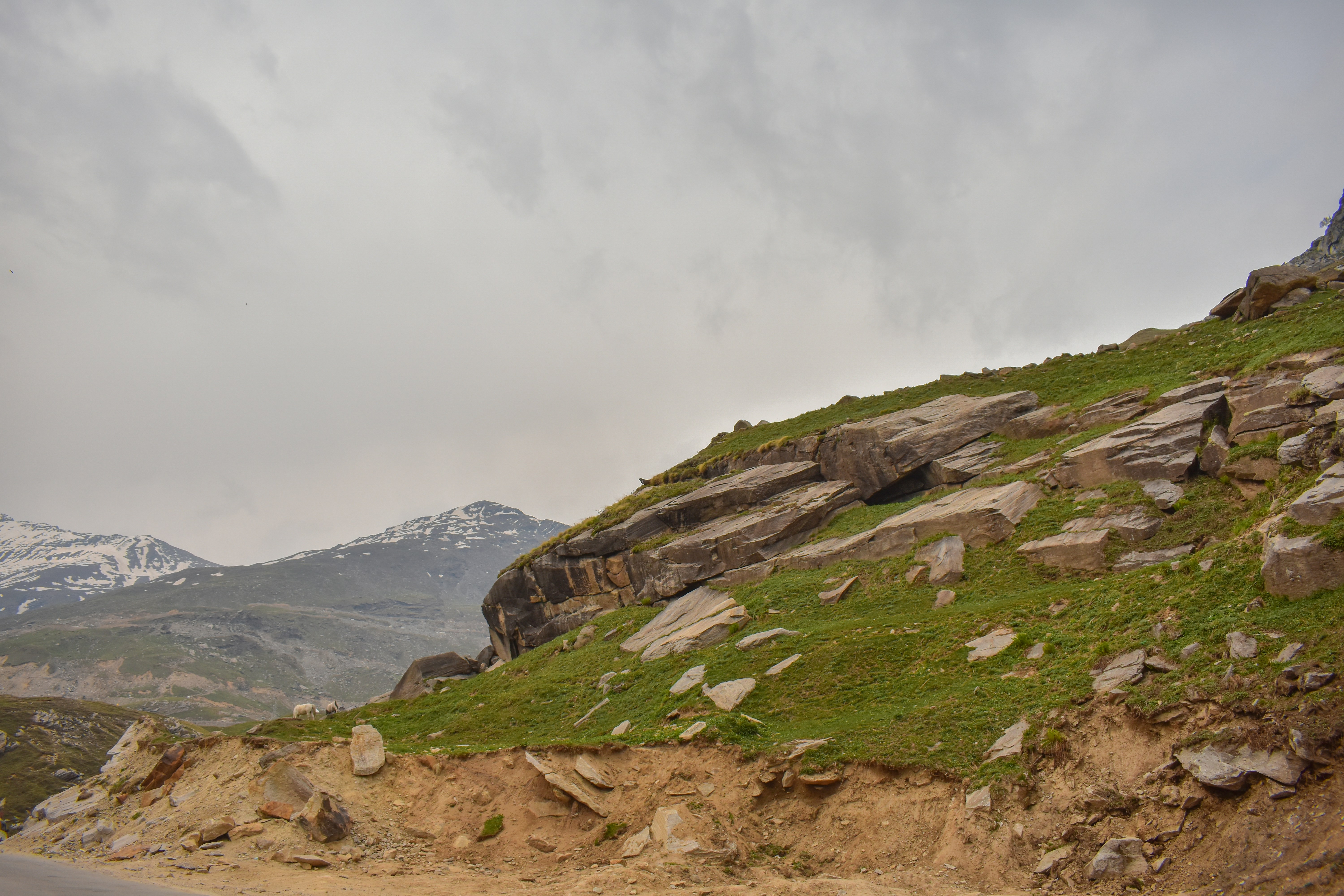 Photo by neelakshi_singh_