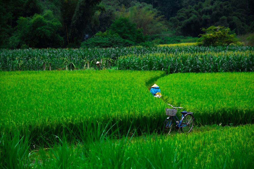 a person riding a bike through a lush green field