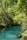 A serene and lush forest surrounds a calm, turquoise-colored river. Sunlight filters through the dense canopy, illuminating the vibrant green foliage and casting reflections on the water's surface. The natural setting is tranquil and undisturbed, with an abundance of trees and plant life thriving in the environment.