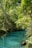 A serene and lush forest surrounds a calm, turquoise-colored river. Sunlight filters through the dense canopy, illuminating the vibrant green foliage and casting reflections on the water's surface. The natural setting is tranquil and undisturbed, with an abundance of trees and plant life thriving in the environment.