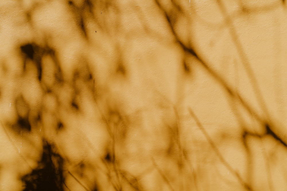 a blurry photo of a bird sitting on a branch