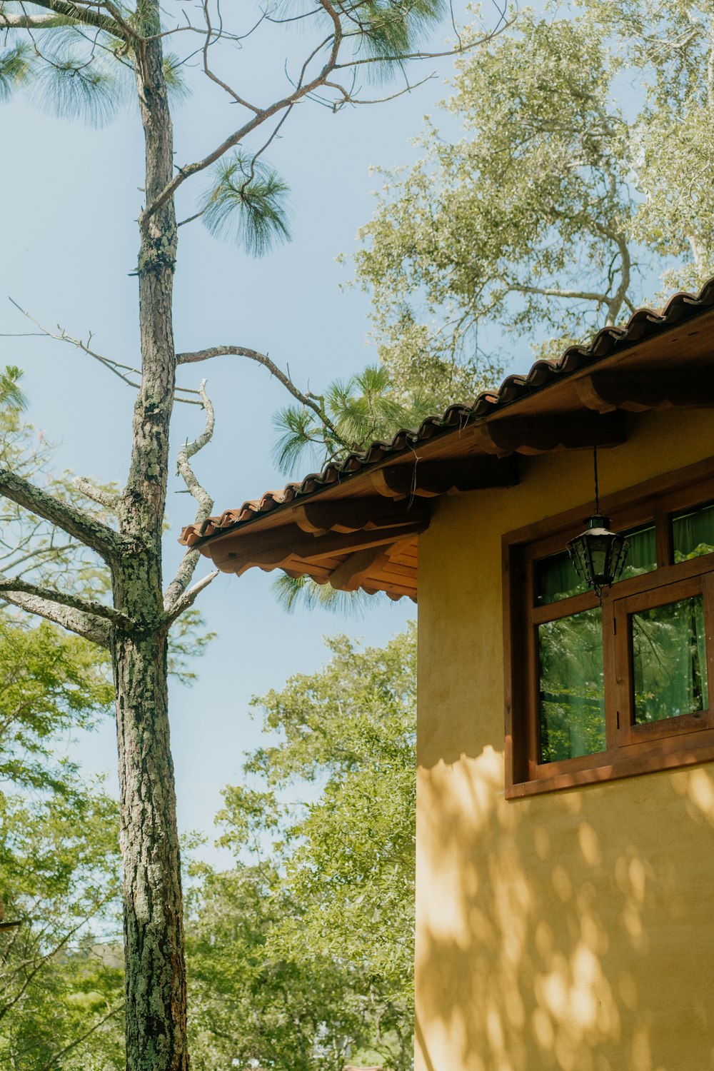 a yellow house with a tree in the background