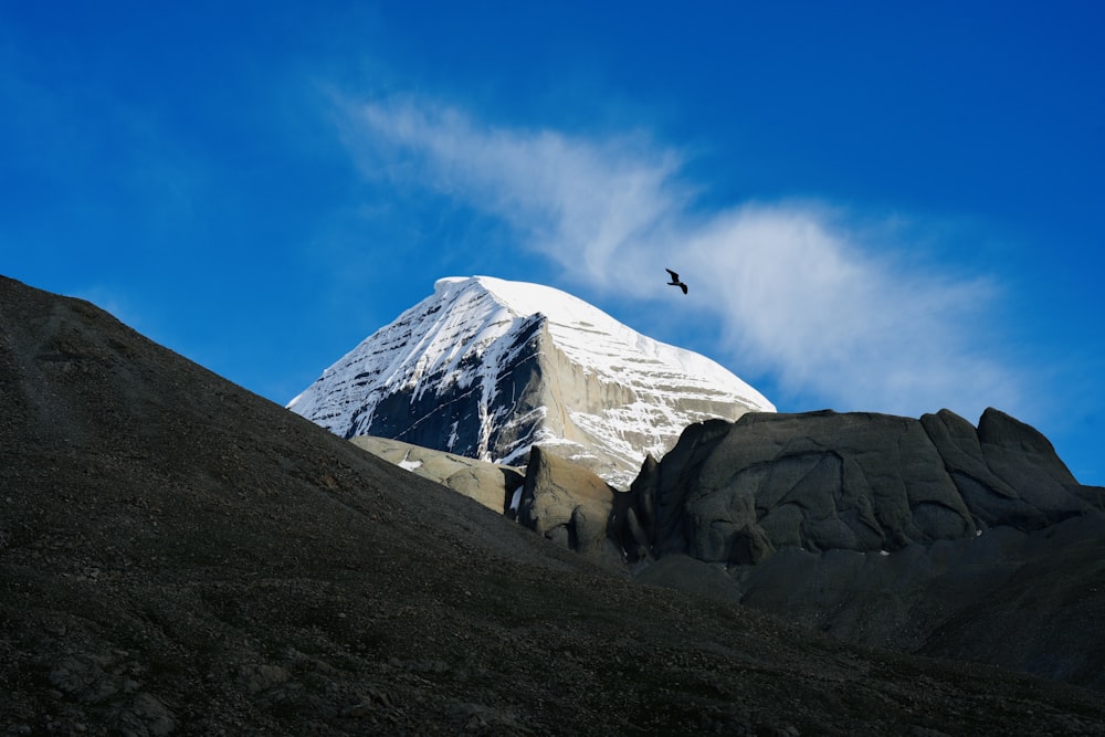 a bird flying over a snow covered mountain