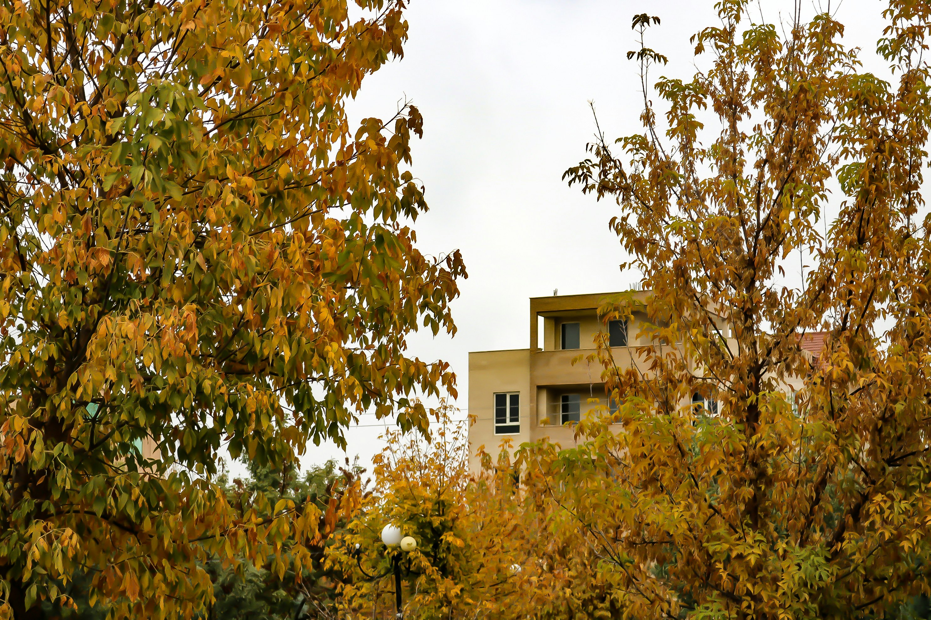 Image by Benyamin shamis via Unsplash