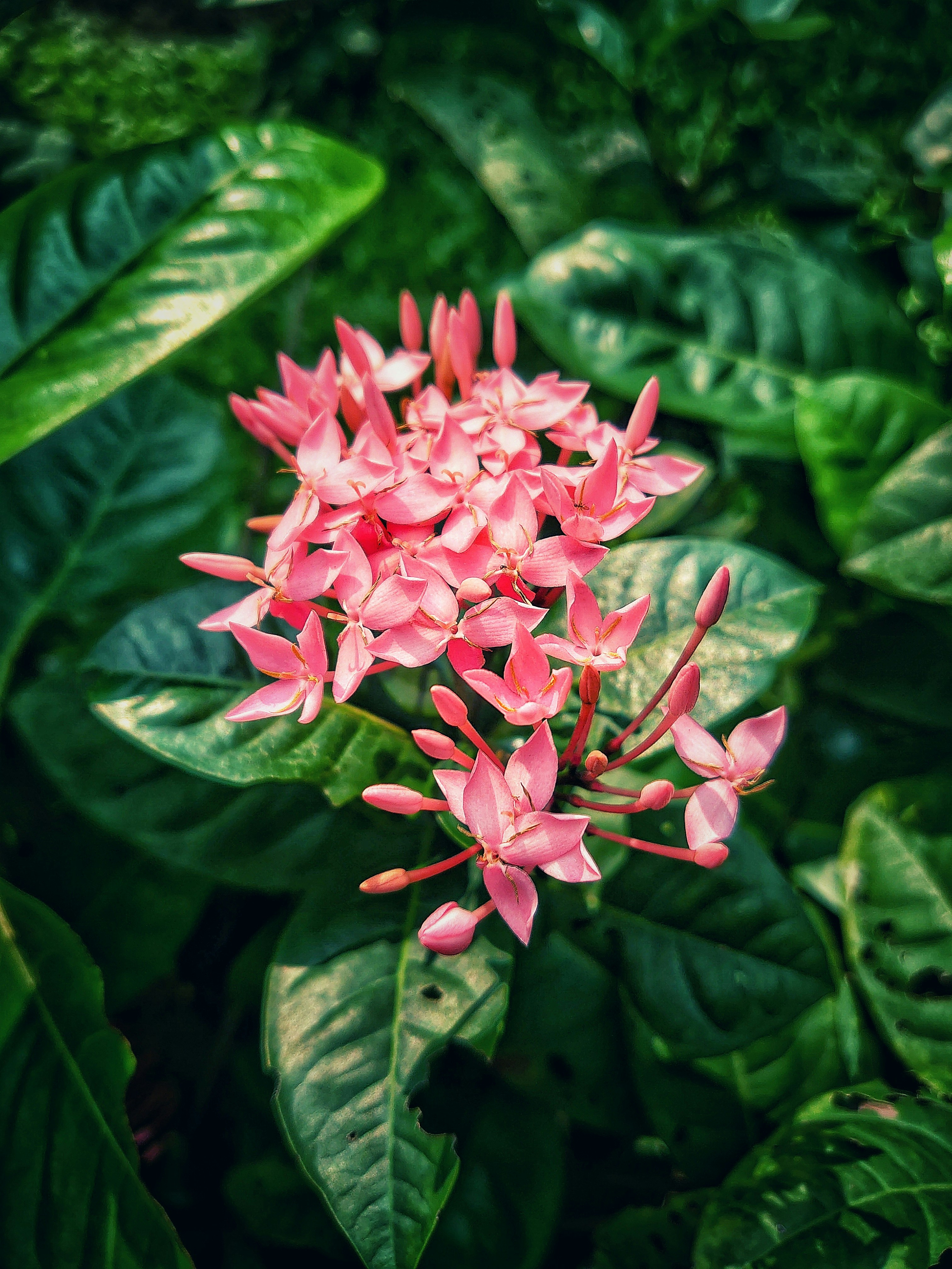 Photo by tanviralamhira