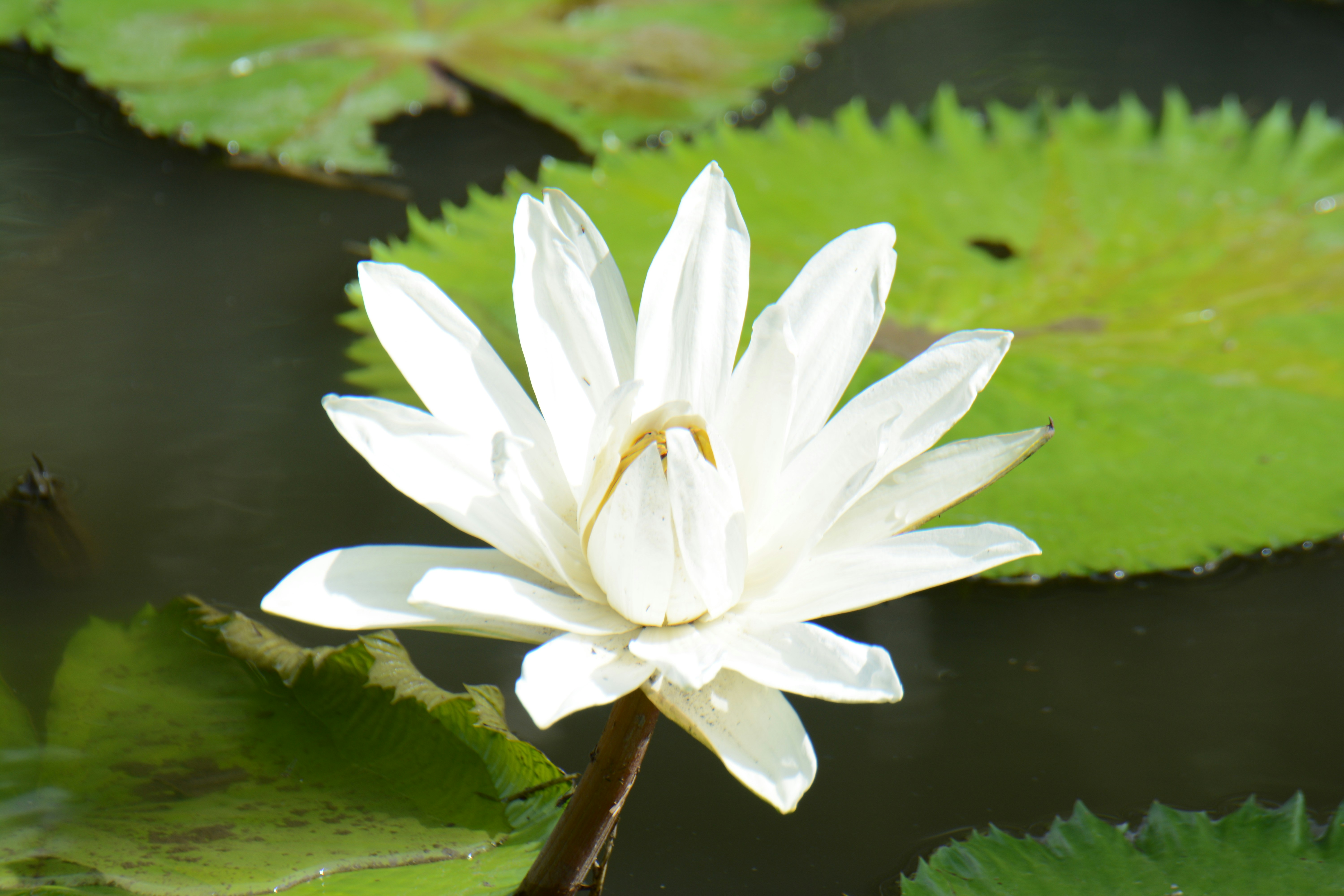 Photo by kuyuneth2543