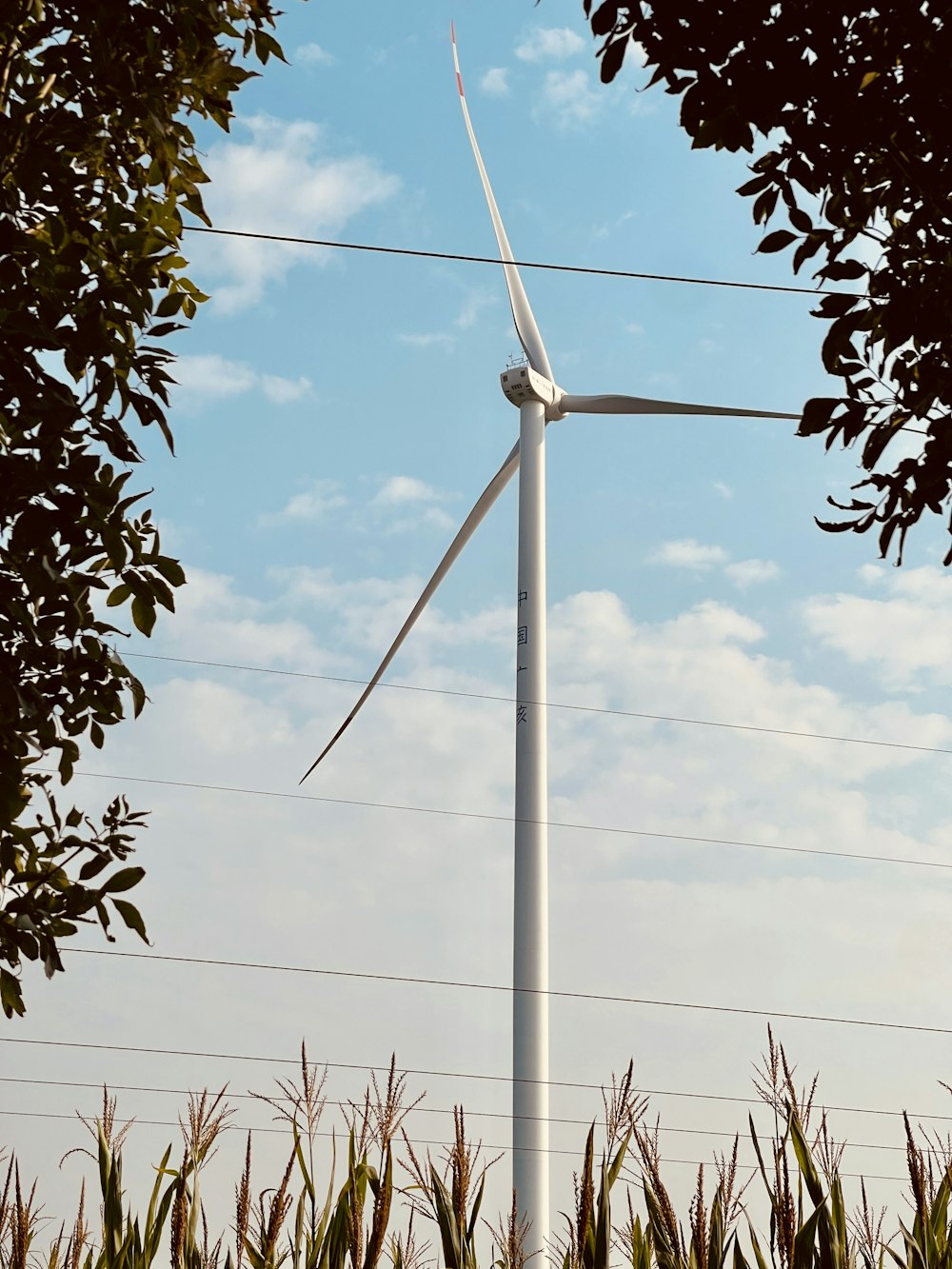 a wind turbine in the middle of a field