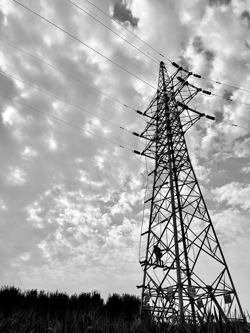 a black and white photo of a high voltage power line