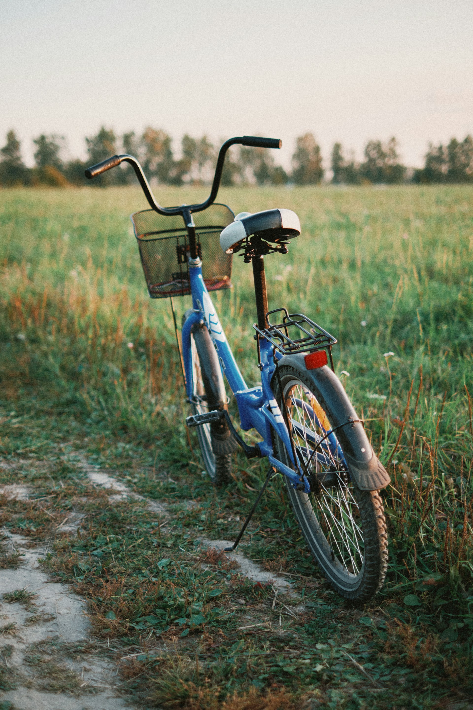 a blue bike parked in a grassy field