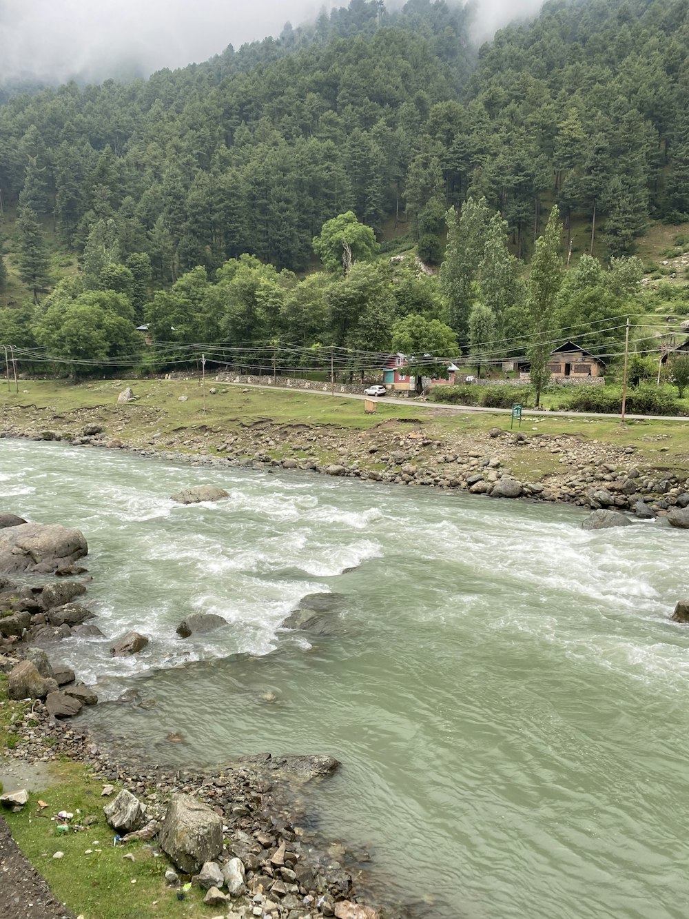 a river running through a lush green forest