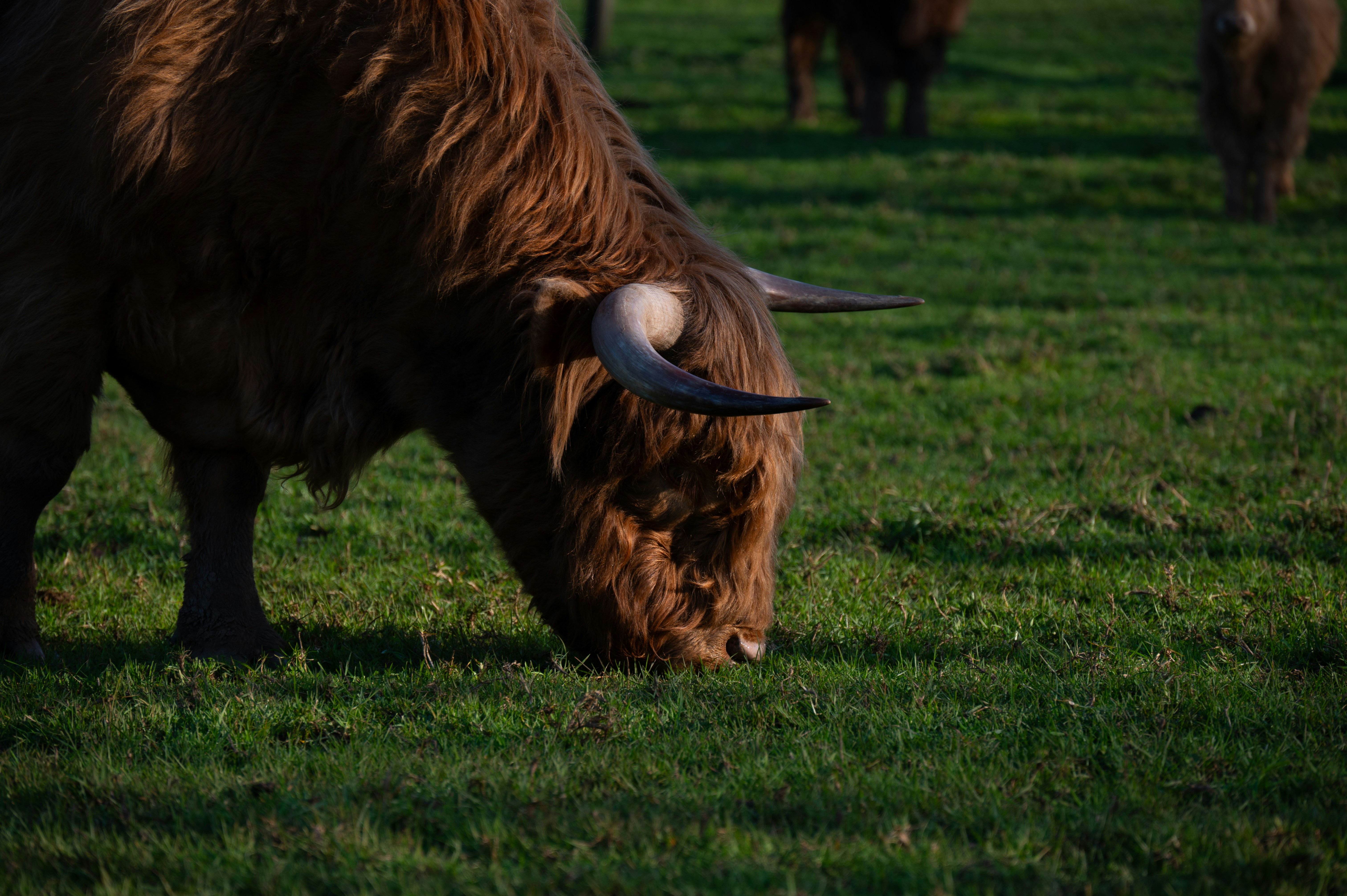 Photo by toby_hall28