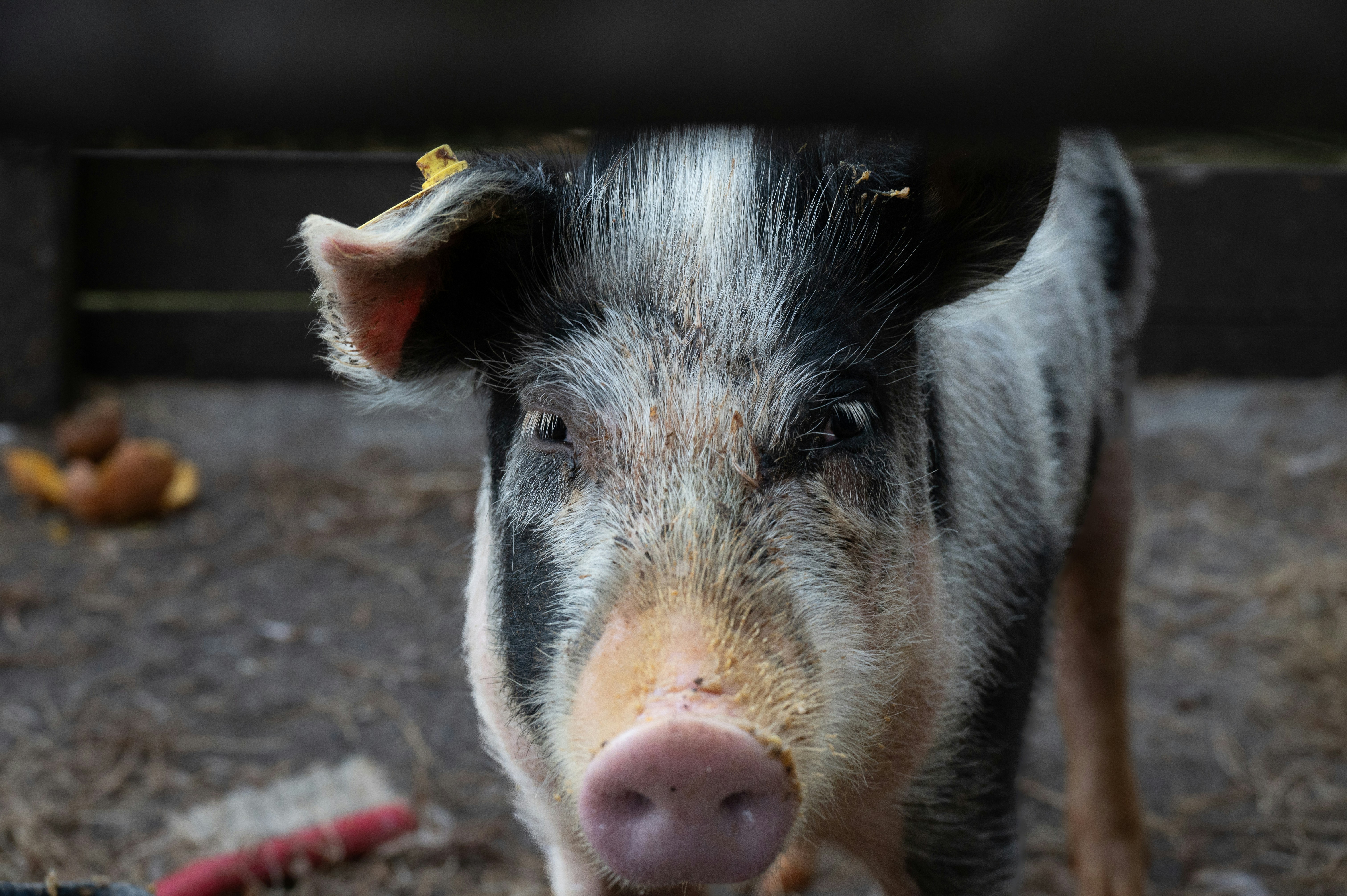 Photo by toby_hall28