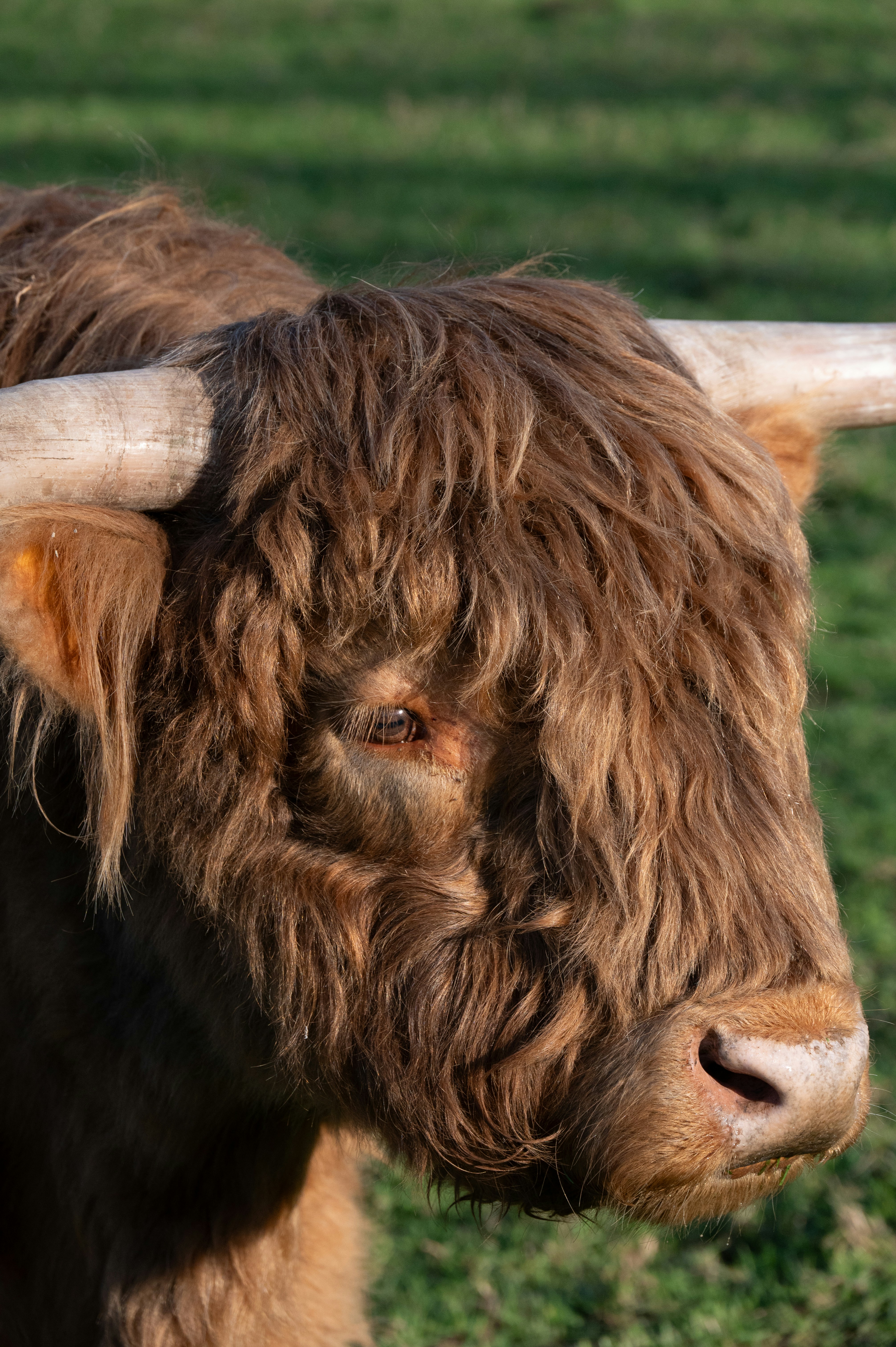 Photo by toby_hall28