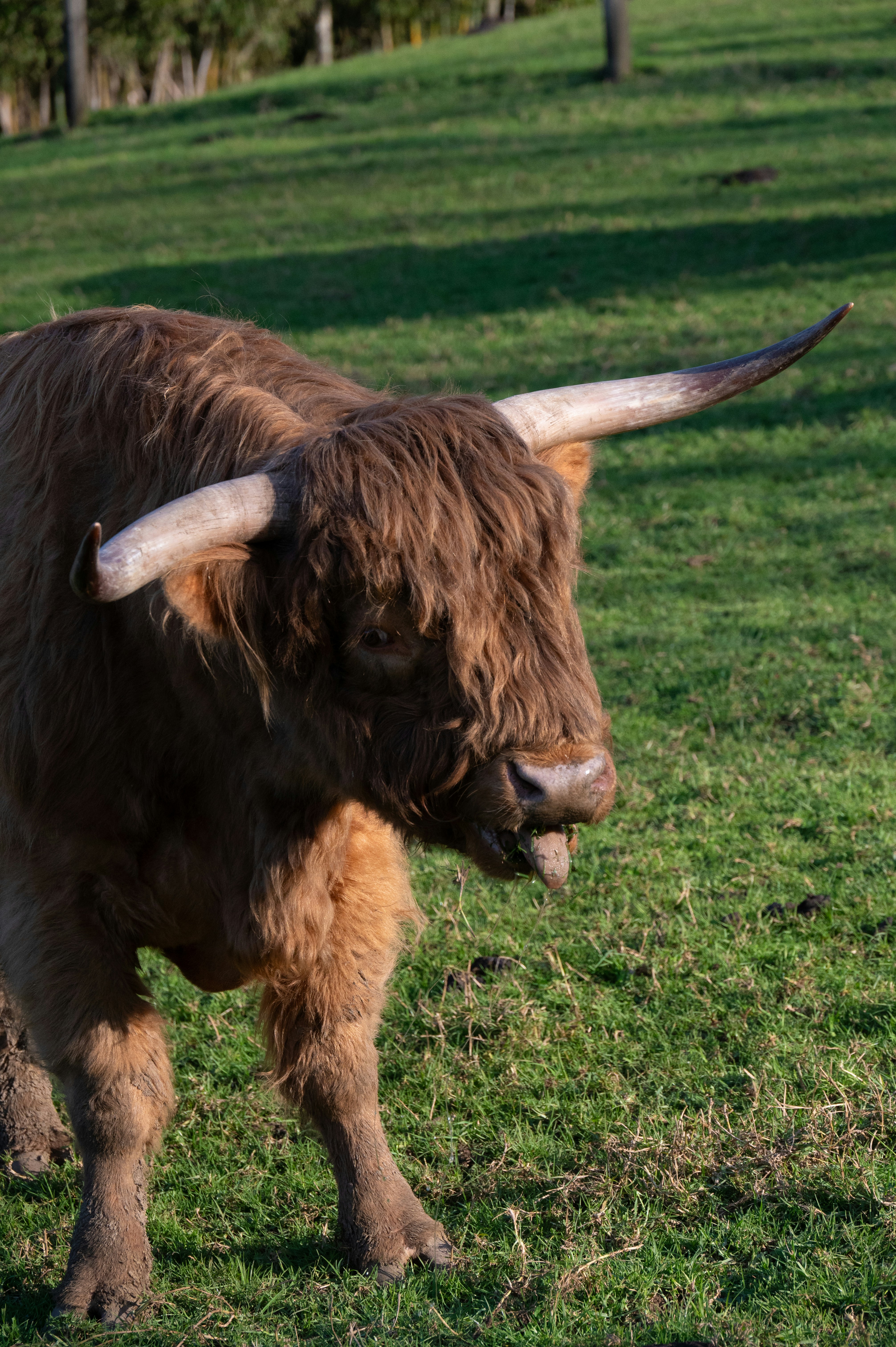 Photo by toby_hall28