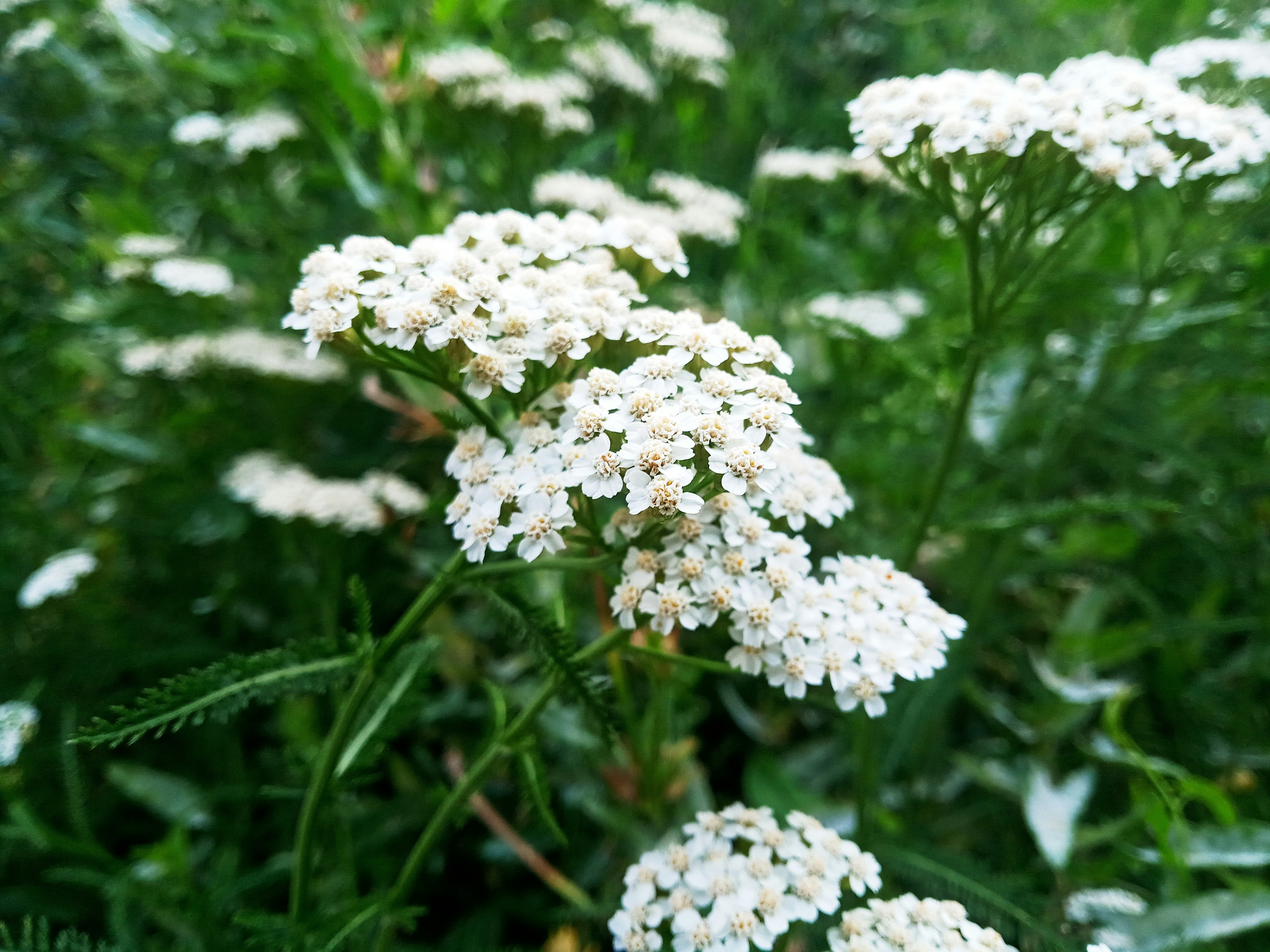 Photo by dmitry_burdakov