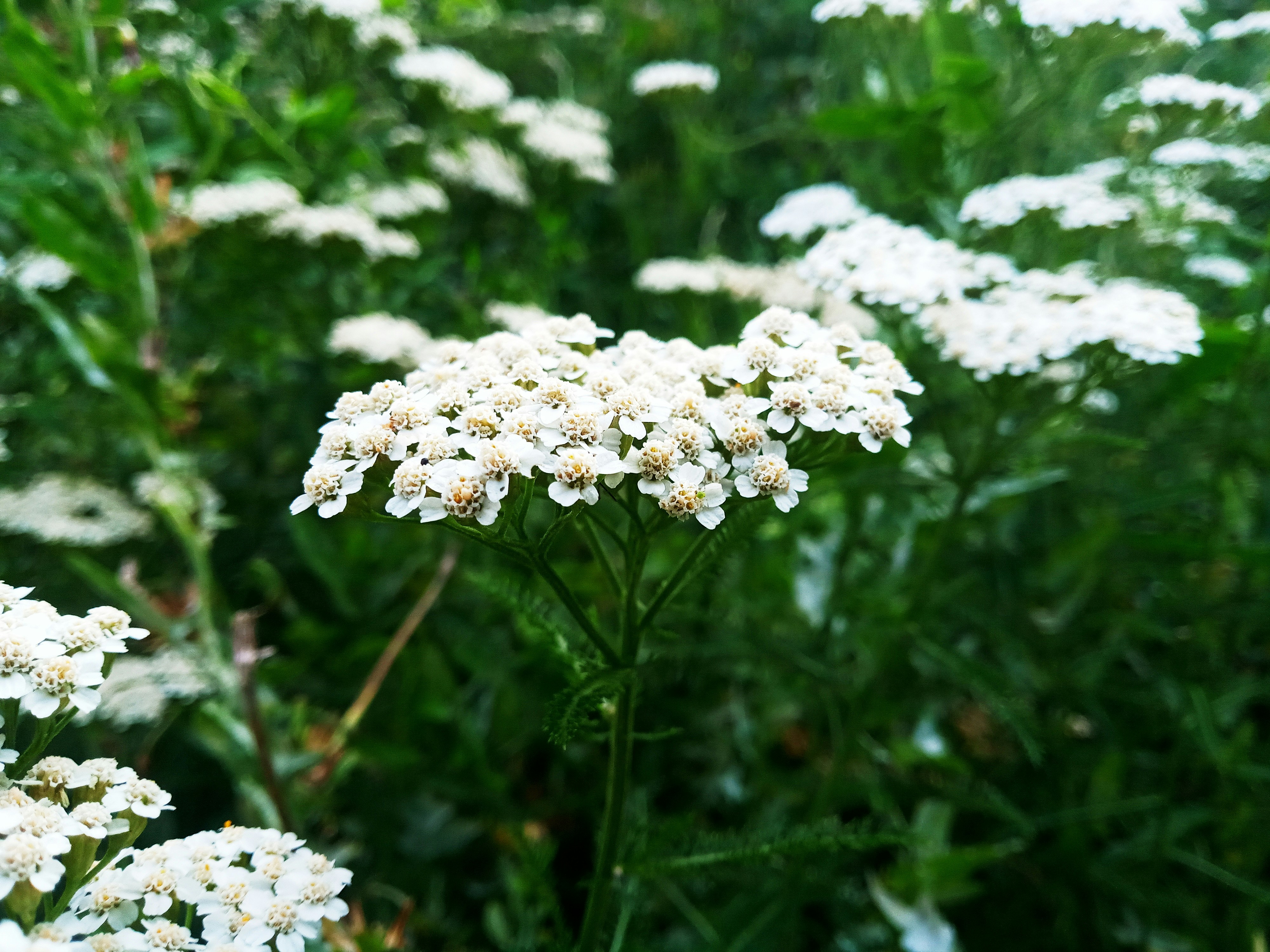 Photo by dmitry_burdakov